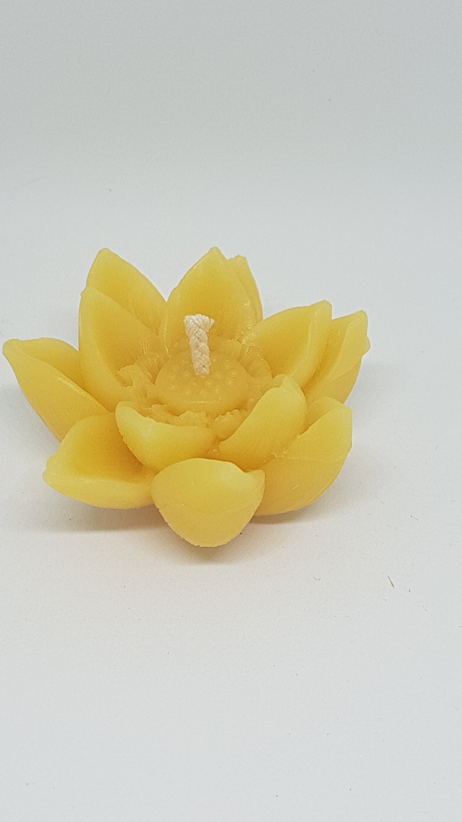 Lotus Beeswax Candle - 2" x 1"Candles- Barriault Ranch