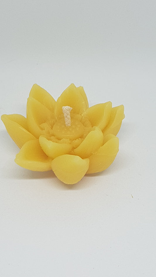 Lotus Beeswax Candle - 2" x 1"Candles- Barriault Ranch