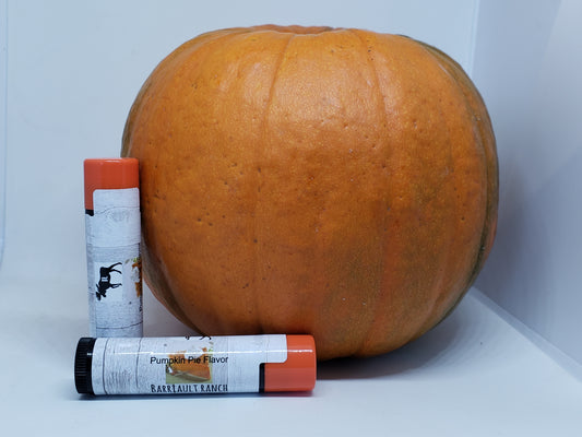 Pumpkin Pie Lip BalmLip Balm- Barriault Ranch