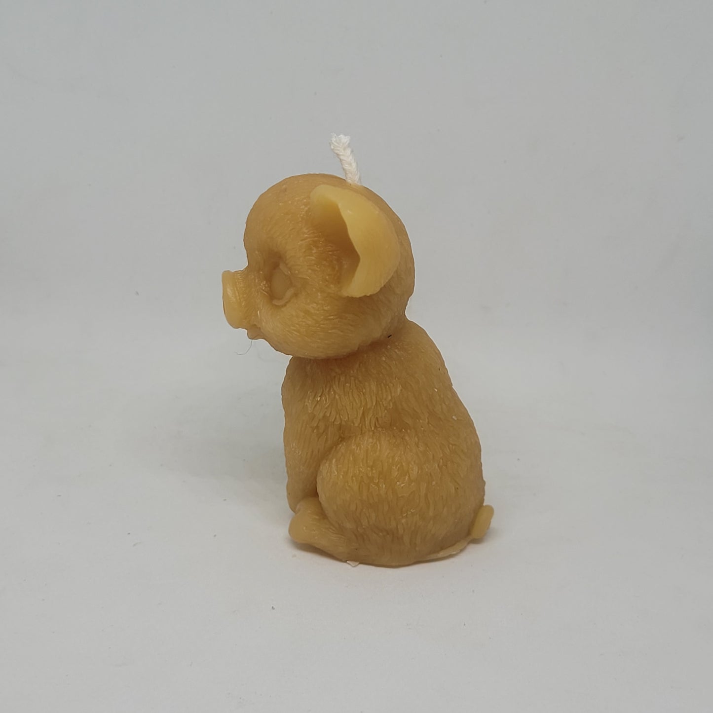 Baby Pig beeswax candle - Barriault Ranch