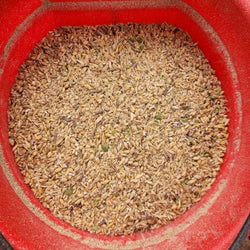 Bulk grain mix/lb - Barriault Ranch