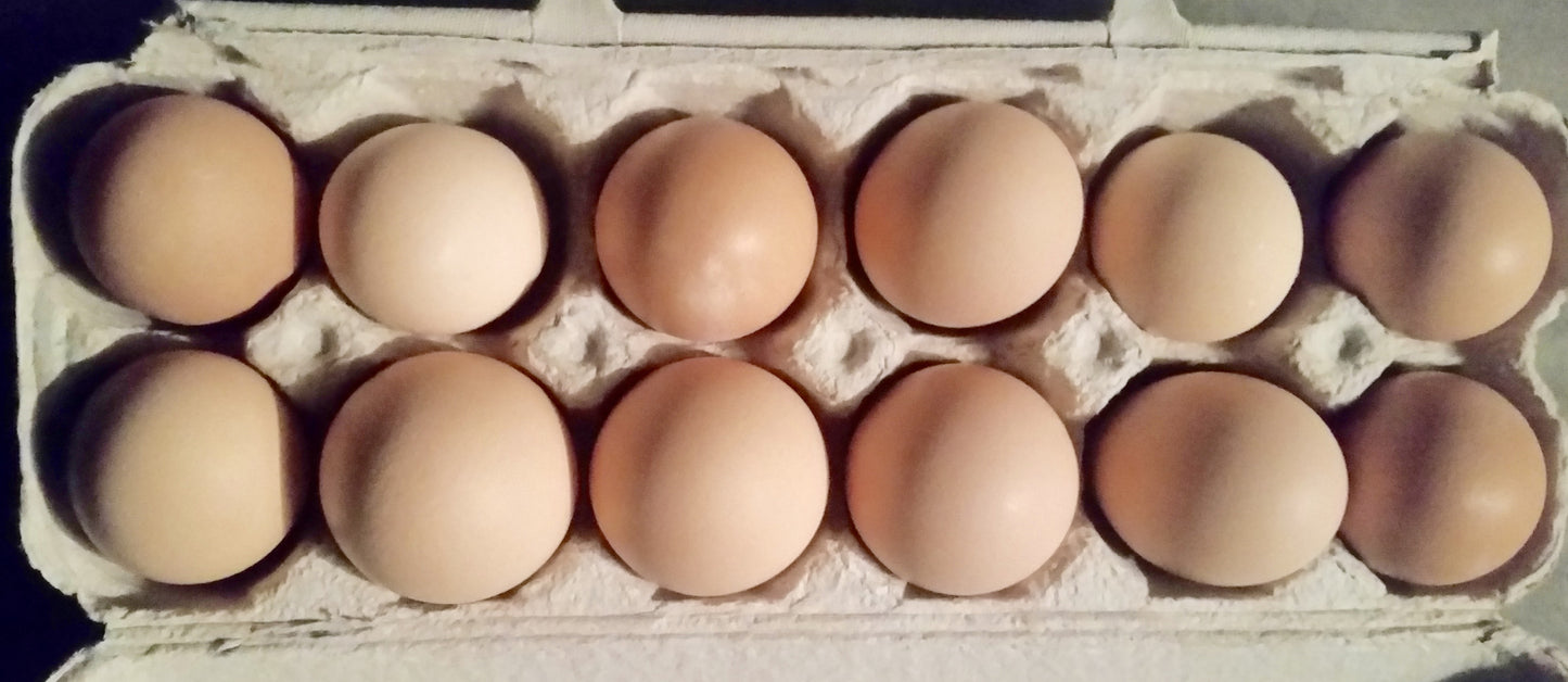 Free Range EggsEggs- Barriault Ranch