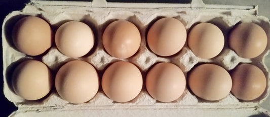 Free Range EggsEggs- Barriault Ranch