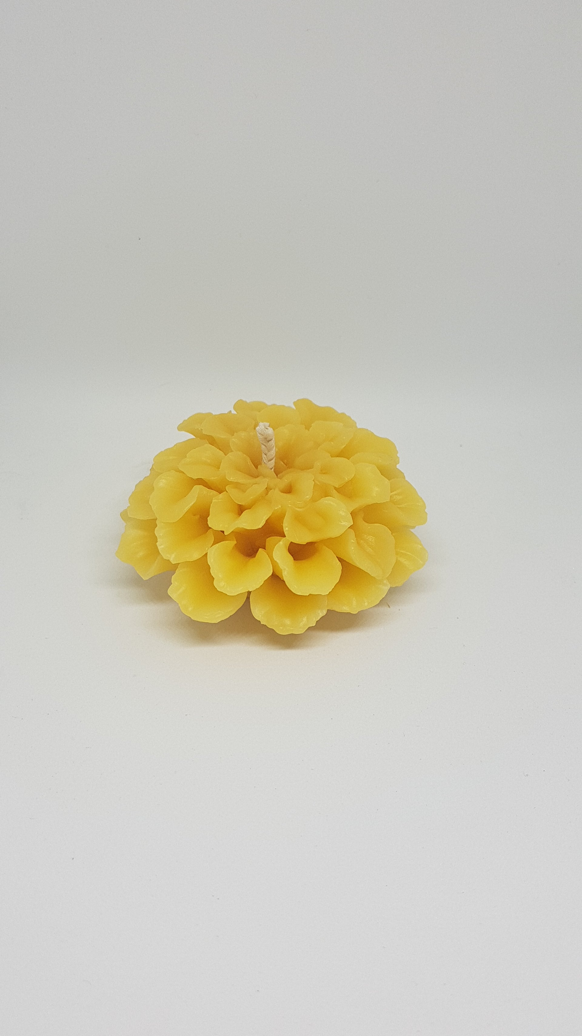 Dahlia Beeswax candle - 3" x 1.5"