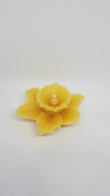 Daffodil Beeswax Candle - 4" x 2"Candles- Barriault Ranch