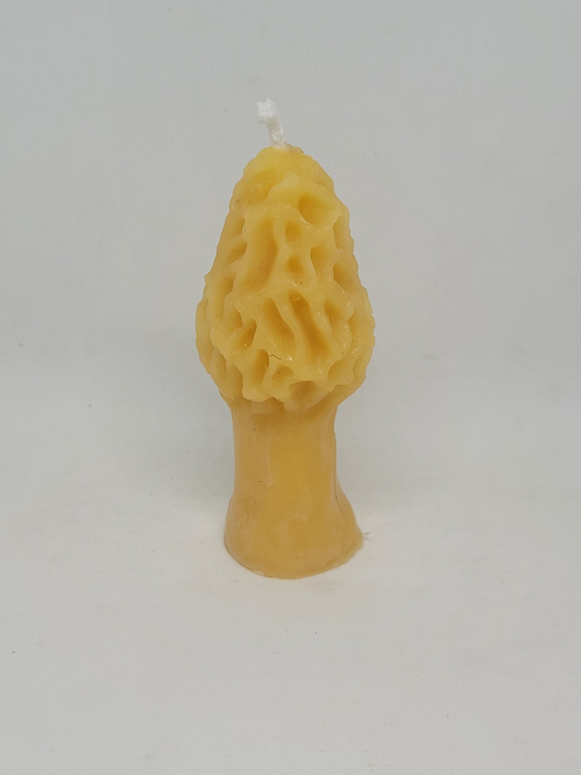 Morel Mushroom beeswax candle - Barriault Ranch