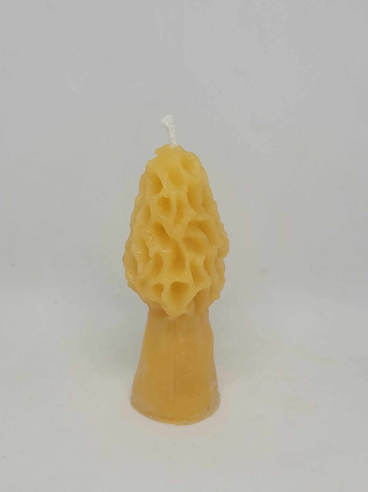 Morel Mushroom beeswax candle - Barriault Ranch