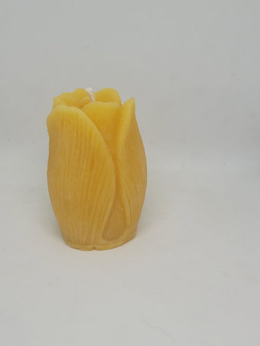 Tulip beeswax candle - Barriault Ranch