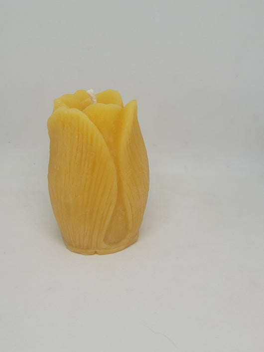 Tulip beeswax candle - Barriault Ranch