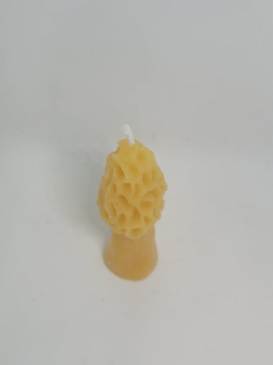 Morel Mushroom beeswax candle - Barriault Ranch